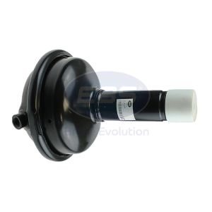 TY24 TM SINGLE (4230762000)