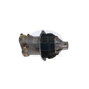 HGS (DAF)