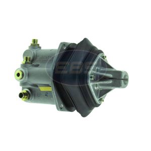 HGS (DAF)