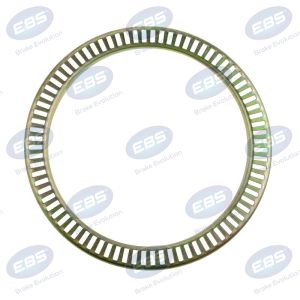 SAF EXCITER RING ( 4029106900 )