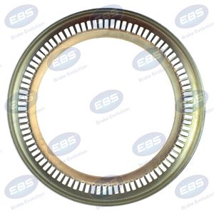 SAF EXCITER RING ( 4029108100 )