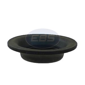 DIAPHRAGM