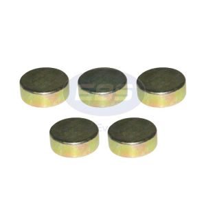 REPAIR KIT CALIPER (CAPS FOR SN