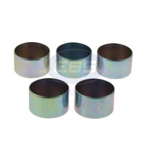 REPAIR KIT CALIPER (CAPS FOR SK