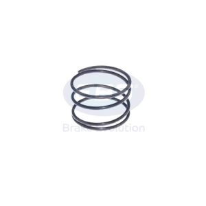 REPAIR KIT CALIPER (SPRING)