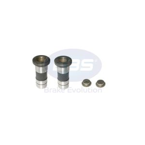REPAIR KIT CALIPER (PISTONS & P