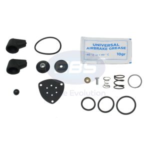 REPAIR KIT AIR DRYER (PURGE VAL