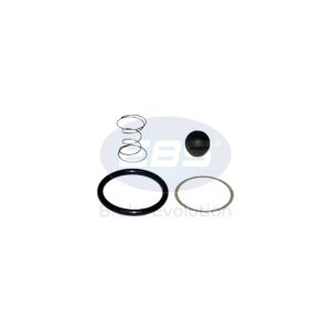 REPAIR KIT AIR DRYER (CHECK VAL