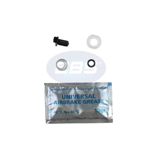 REPAIR KIT (AIR DRYER NON RETUR