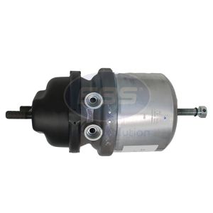 SPRING BRAKE (DISC)