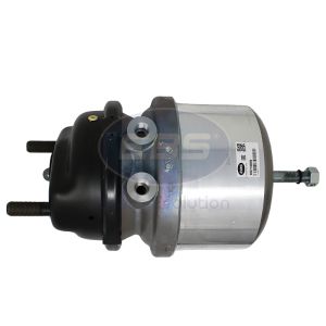 SPRING BRAKE (DISC)