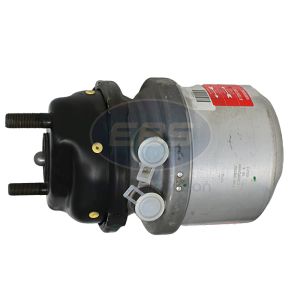 SPRING BRAKE (DISC)