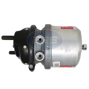 SPRING BRAKE (DISC)