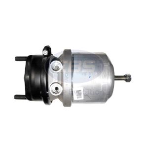 SPRING BRAKE (DISC)