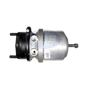 SPRING BRAKE (DISC)