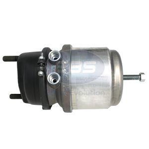 SPRING BRAKE (DISC)
