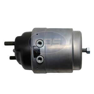 SPRING BRAKE (DISC)