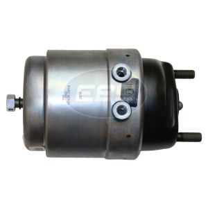 SPRING BRAKE (DISC)