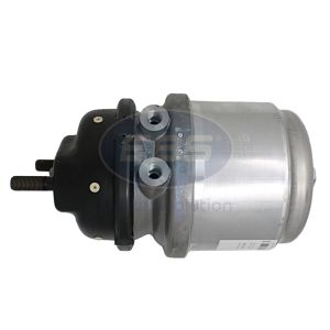 SPRING BRAKE (DISC)