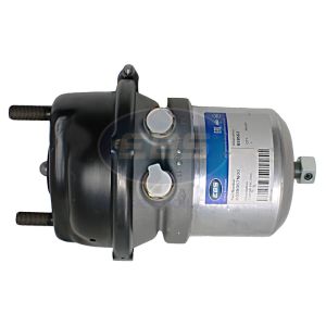 SPRING BRAKE (DISC)