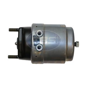 TY20/24 SPRING BRAKE (DISC) (BT5418) M16