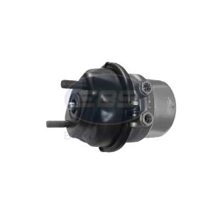 SPRING BRAKE (DISC)